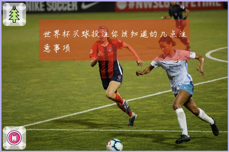 世界杯买球投注你该知道的几点注意事项