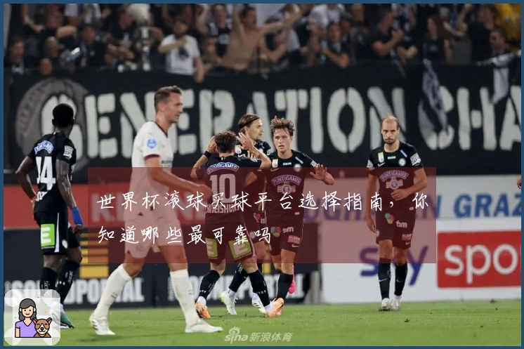 世界杯滚球买球平台选择指南，你知道哪些最可靠吗